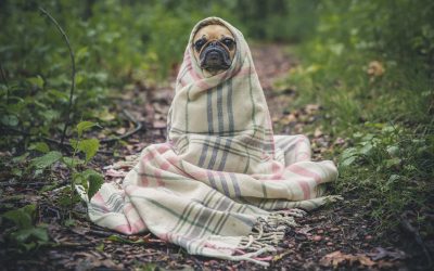 Wie bereitet sich Europa auf den Winter vor?